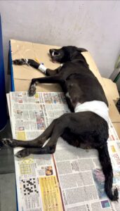 WhatsApp Image 2025-08-02 at 13.46.31 (1)