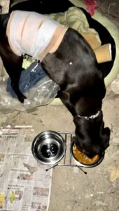 WhatsApp Image 2025-08-02 at 13.46.31