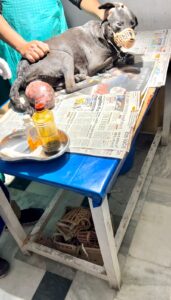 WhatsApp Image 2025-08-02 at 13.46.31 (2)