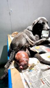 WhatsApp Image 2025-08-02 at 13.46.32 (1)