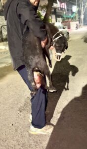 WhatsApp Image 2025-08-02 at 13.46.32