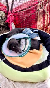 WhatsApp Image 2025-08-02 at 13.46.32 (2)