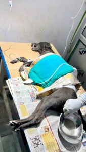 WhatsApp Image 2025-08-02 at 13.46.33